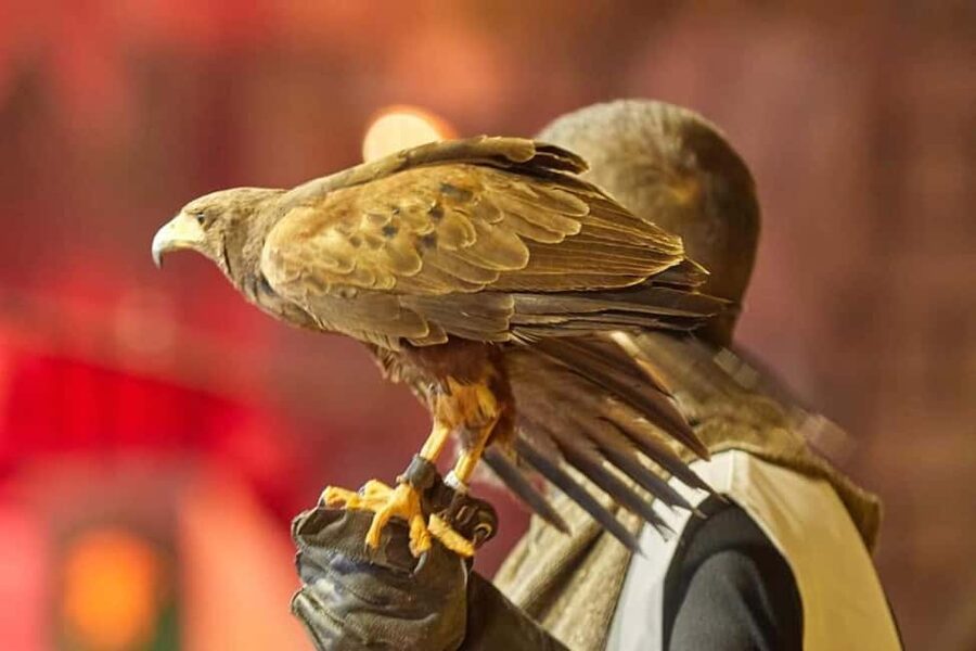 Tenerife: Castillo San Miguel Medieval Show and Banquet - A castle evening built around a live tournament