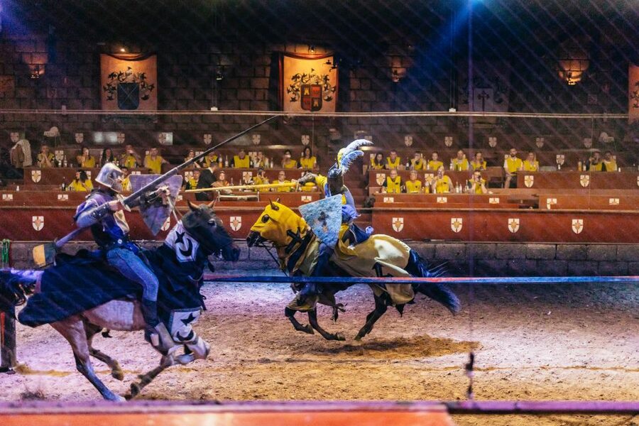 Tenerife: Castillo San Miguel Medieval Show and Banquet - Who will enjoy Castillo San Miguel most?
