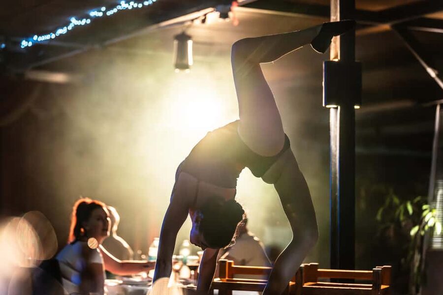 Tenerife : Musical show "the wild south" with dinner and transfer - Who Will Enjoy The Wild South Most?