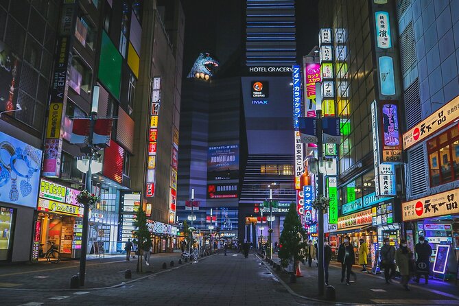 The Dark Side of Tokyo - Night Walking Tour Shinjuku Kabukicho - Key points before you book