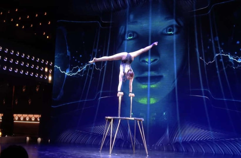 Tokyo: Japanese Style Variety Show with Dance,Magic & Dinner - The Show: Fast Changes and Broad Appeal