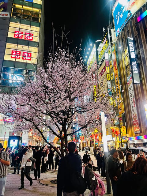 Tokyo Night Drive Wangan Expressway and Daikoku PA - Another scenic drive before Daikoku PA