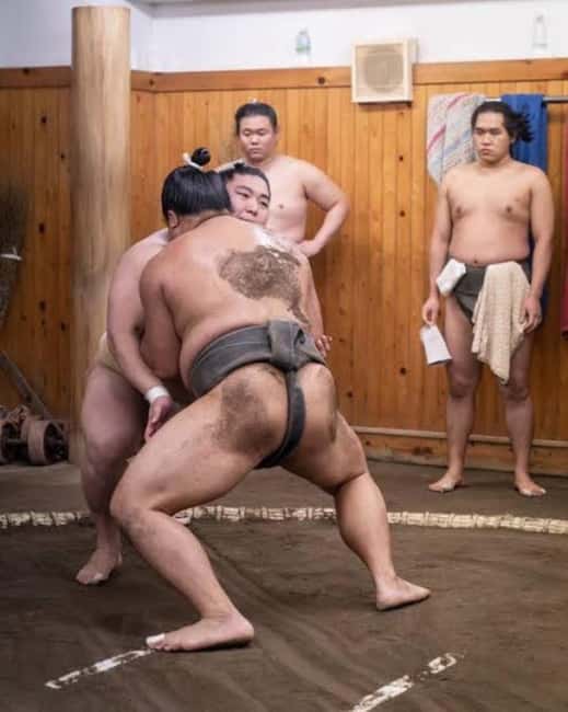 Tokyo: Sumo Show and Experience in Shinjuku - Key Points to Know Before You Book
