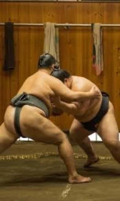 Tokyo: Sumo Show and Experience in Shinjuku - What This Shinjuku Sumo Show Actually Is