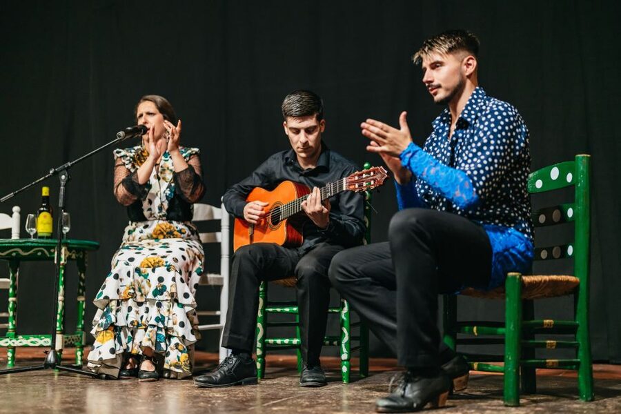 Torremolinos: Flamenco Show with Dinner and Drinks - Dietary needs and practical planning
