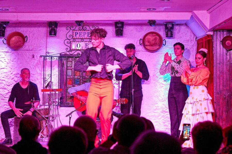 Torremolinos: Flamenco Show with Drinks - Practical details before you book