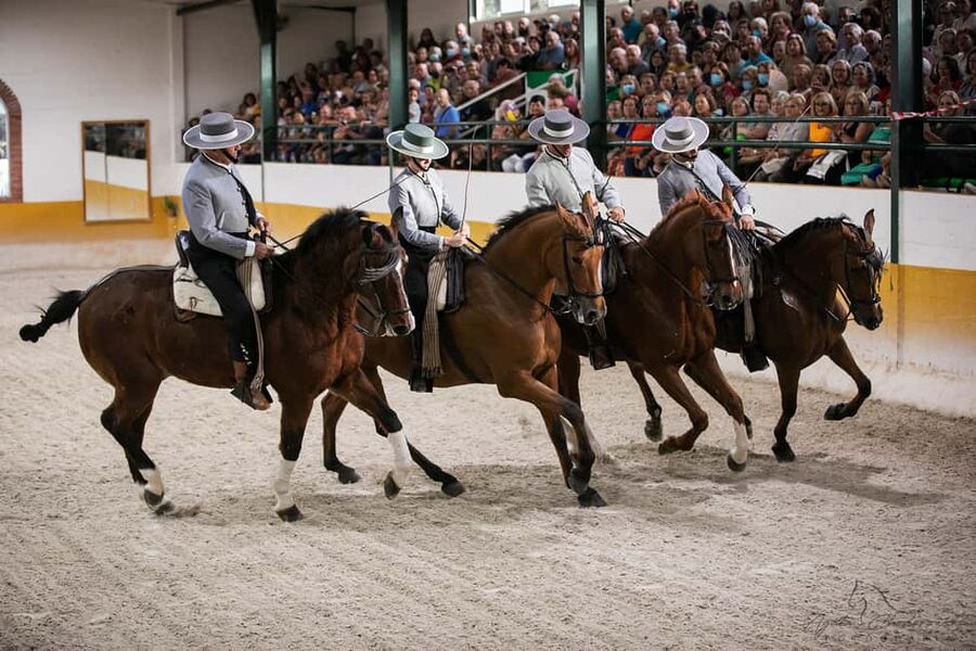 Torremolinos: Spanish horse and flamenco show - Key points at a glance