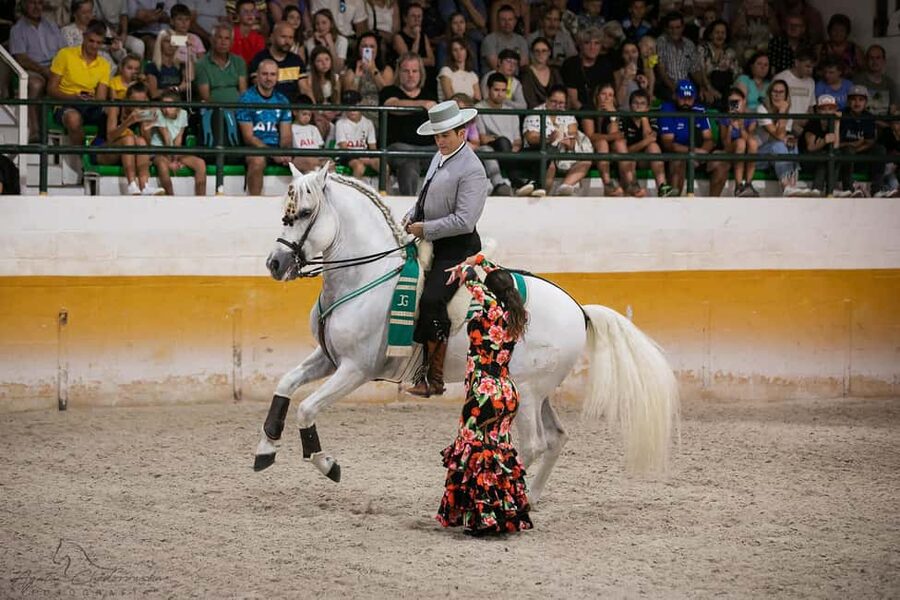 Torremolinos: Spanish horse and flamenco show - Add the 30-minute stable tour