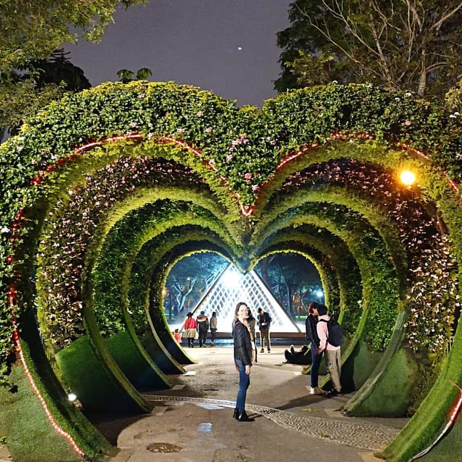 Tour to the magical water circuit with dinner and dance show - Seeing Lima from the van