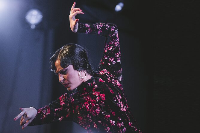 Traditional Flamenco Show at Tablao Casa Ana - What the one-hour programme includes