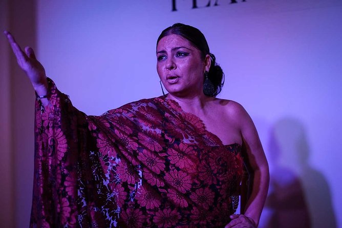 Traditional Flamenco Show - What happens during the 60-minute show