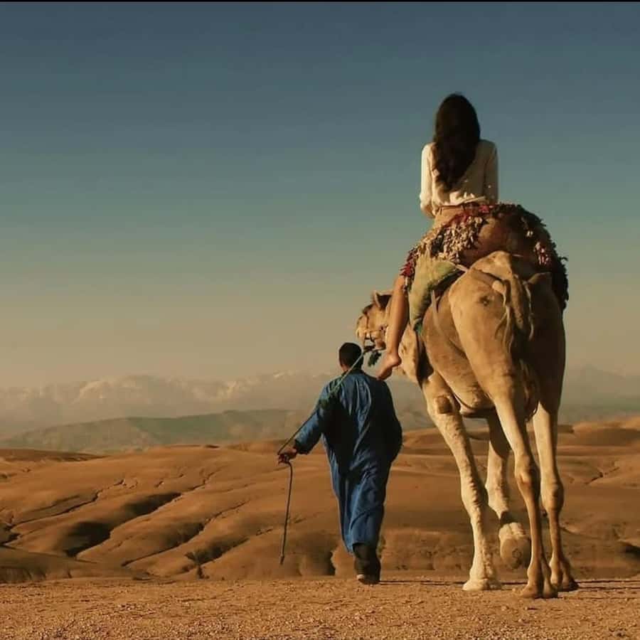 Unforgettable Desert Night: Dinner, Camel Ride & Quad Bike - Dinner, music, and the fire show
