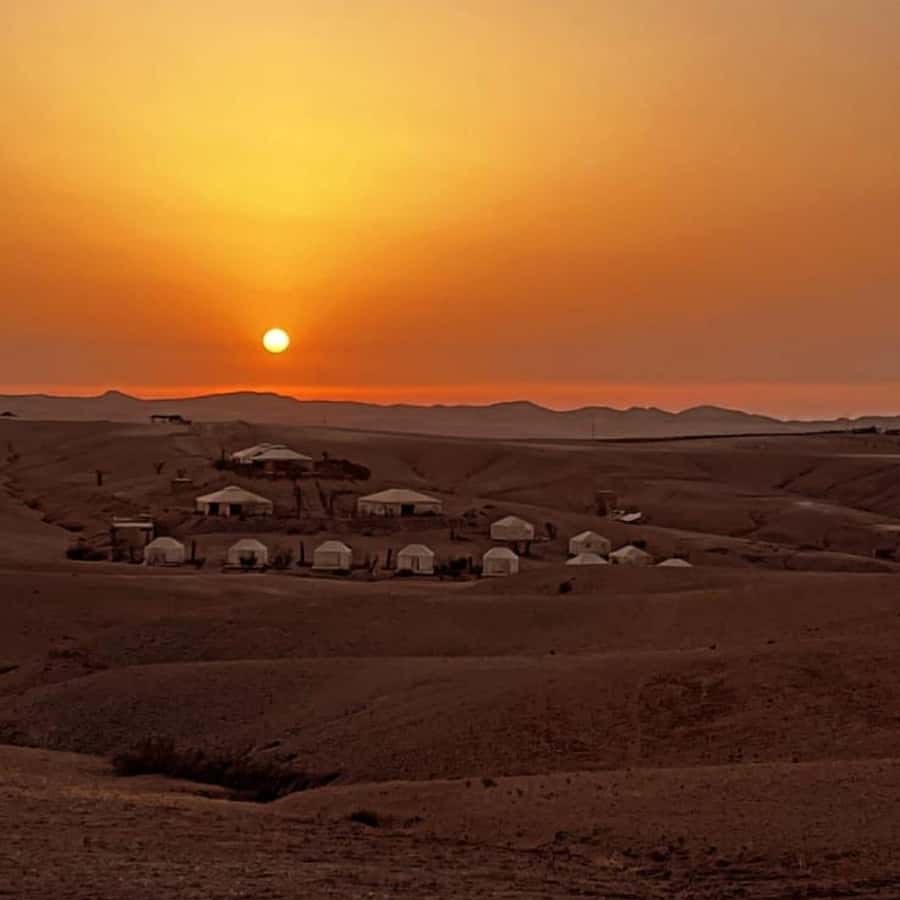 Unforgettable Desert Night: Dinner, Camel Ride & Quad Bike - Who should book this experience