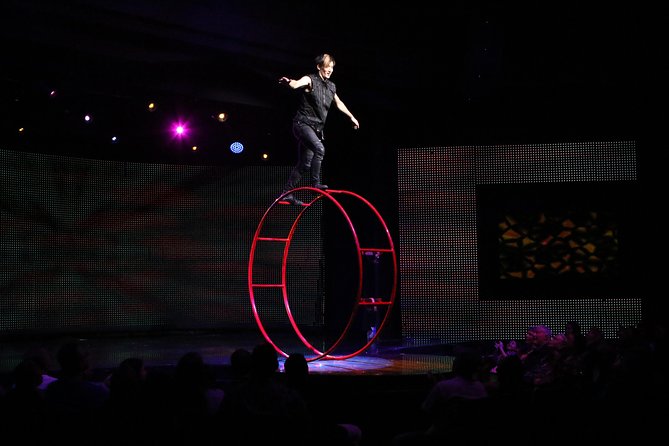 V - The Ultimate Variety Show at Planet Hollywood Resort and Casino - A fast-moving show with a little bit of everything