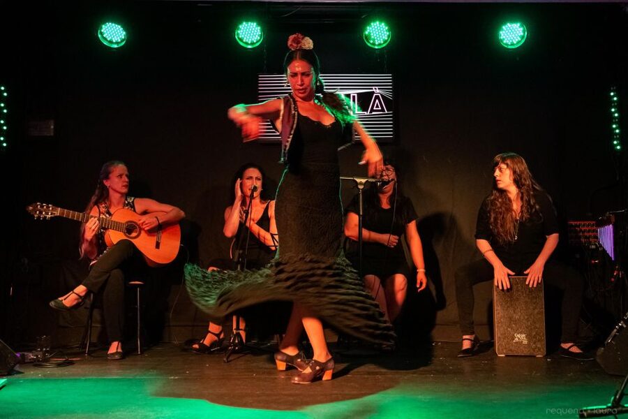 Valencia: Authentic Flamenco Show Entry Ticket - The one-hour performance: guitar, voice, and dance