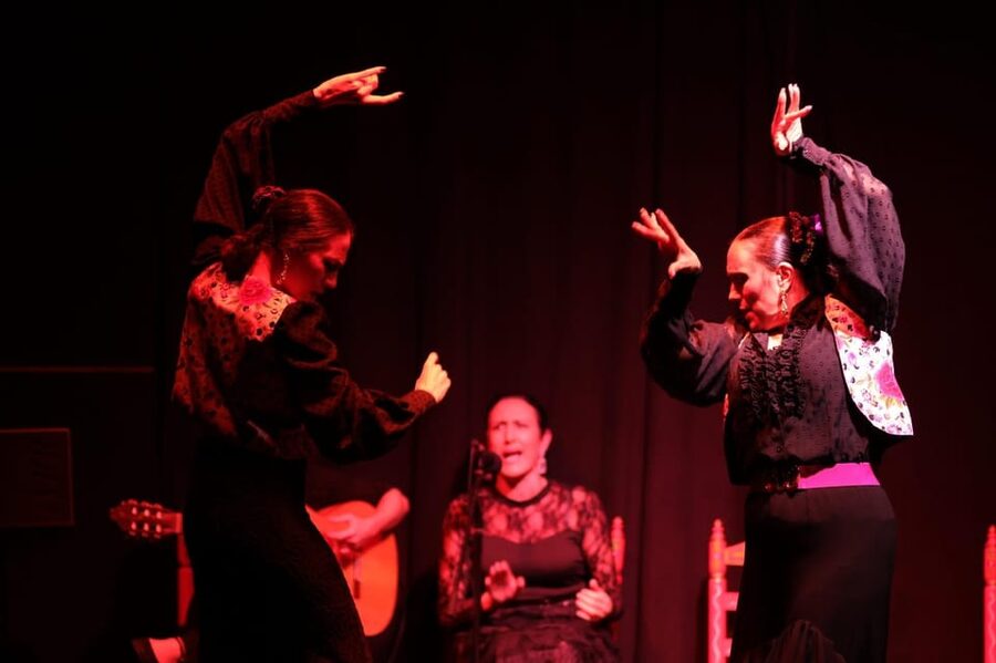 Valencia: Authentic Flamenco Show Entry Ticket - Who should book this flamenco performance?