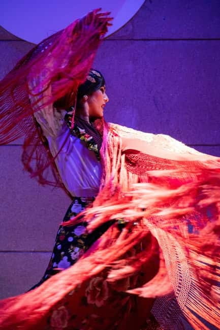 Valencia: La Linterna Flamenco Show - Key points to know before you book