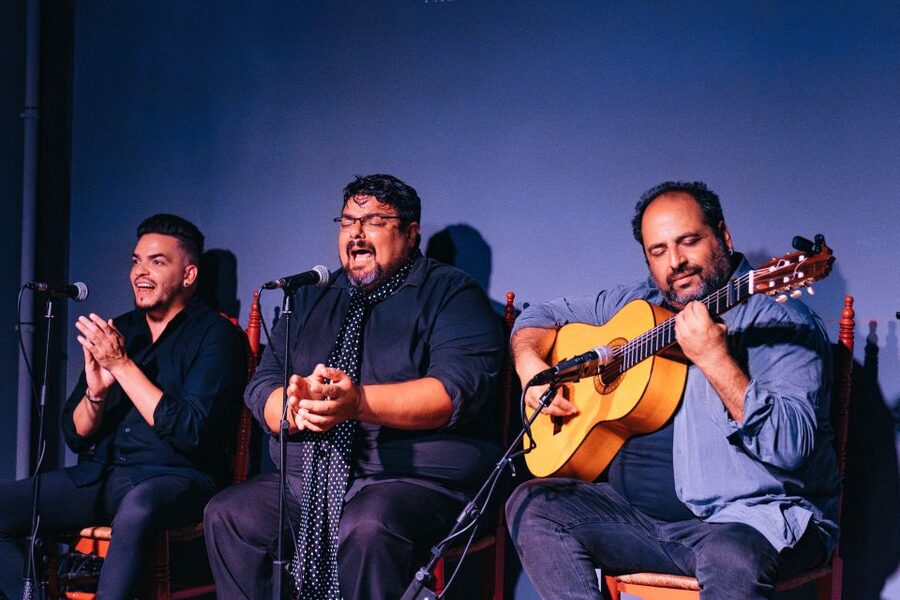 Valencia: Palosanto Flamenco Show Ticket - Why Palosanto works as a first flamenco show