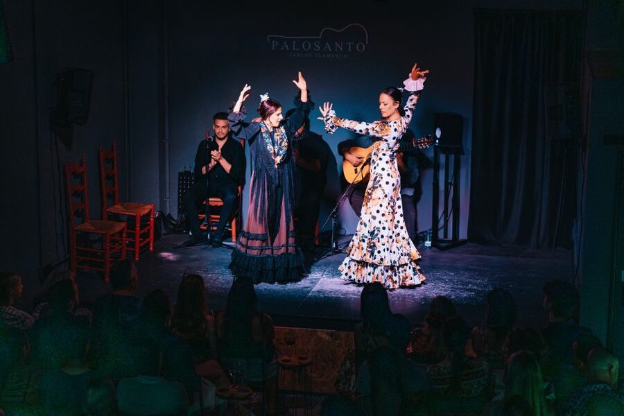 Valencia: Palosanto Flamenco Show Ticket - Who will enjoy this show most
