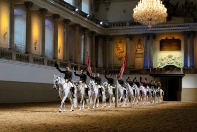 Spanish Riding School 45-Minute Performance Show