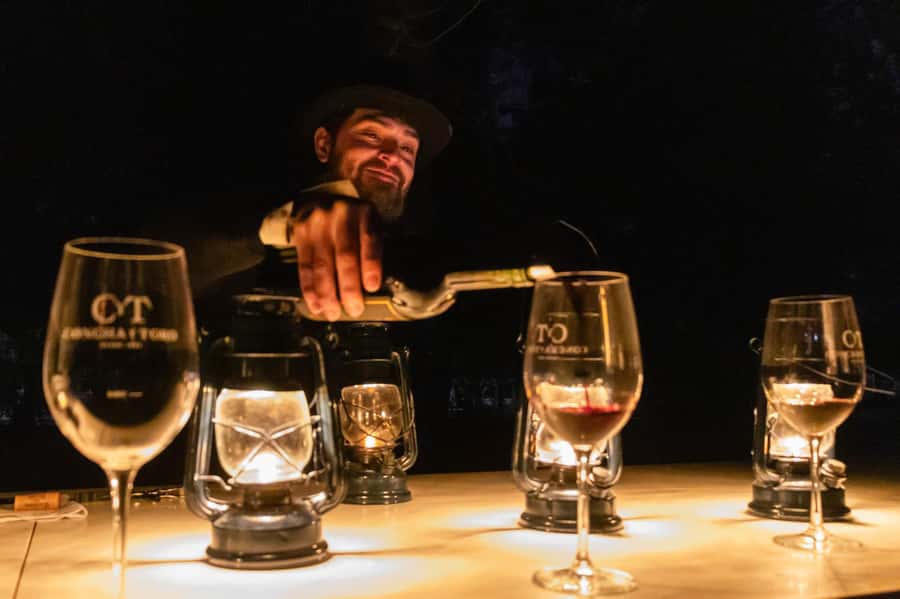 Viña Concha y Toro Nighttime: Dinner Show - Tasting three wines before dinner