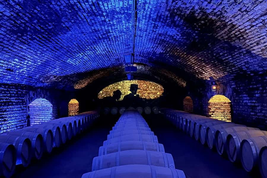 Viña Concha y Toro Nighttime: Dinner Show - Who will enjoy this Concha y Toro night?