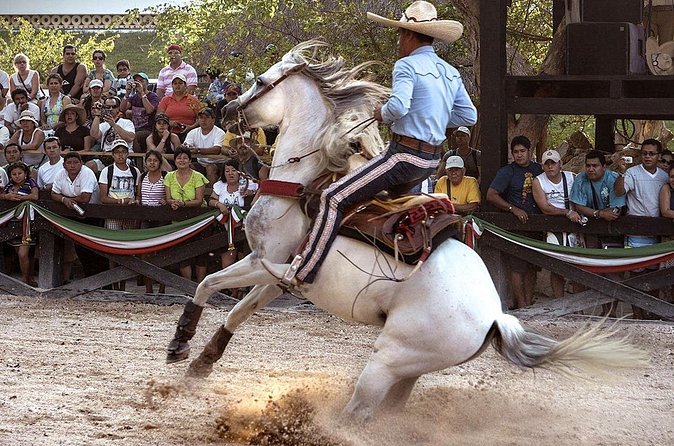 Xcaret Park Day Tour & Night Show with Transportation - Why the Night Show Changes the Day