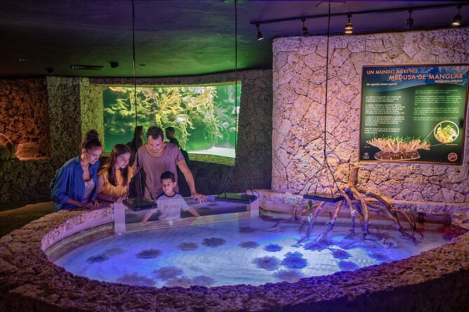 Xcaret Park Day Trip, transportation and Cultural Night Show - What this Xcaret day is really like