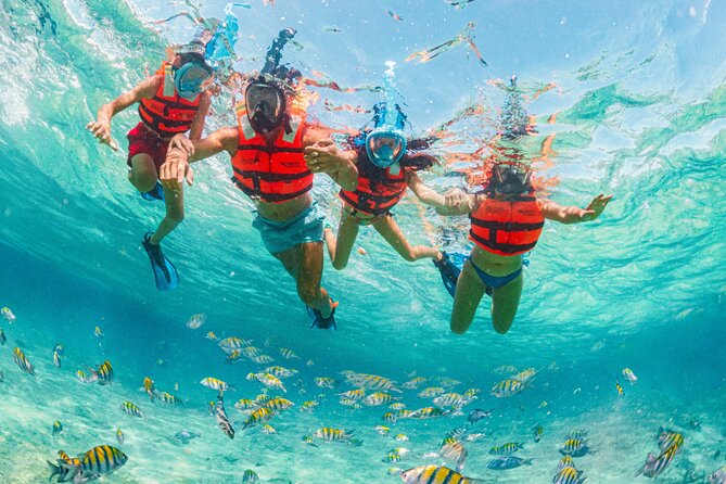 Xcaret Park Day Trip, transportation and Cultural Night Show - Maya sites and Mexican culture within the park