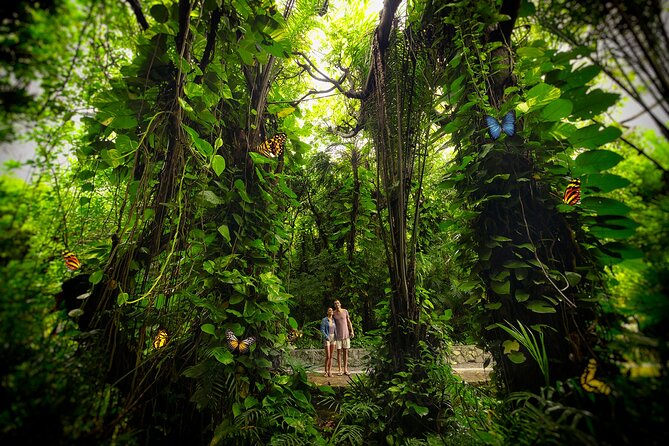 Xcaret Park Day Trip, transportation and Cultural Night Show - Why the evening show is worth protecting