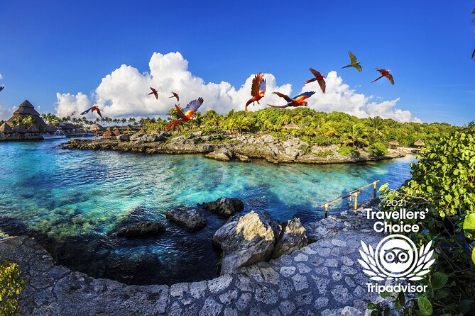 Xcaret Park Day Trip, transportation and Cultural Night Show - Basic or Xcaret Plus?