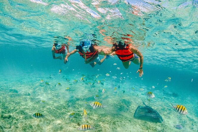 Xcaret Park Entry Tickets with Cultural Night Show Included - Is Xcaret Plus worth the extra money?